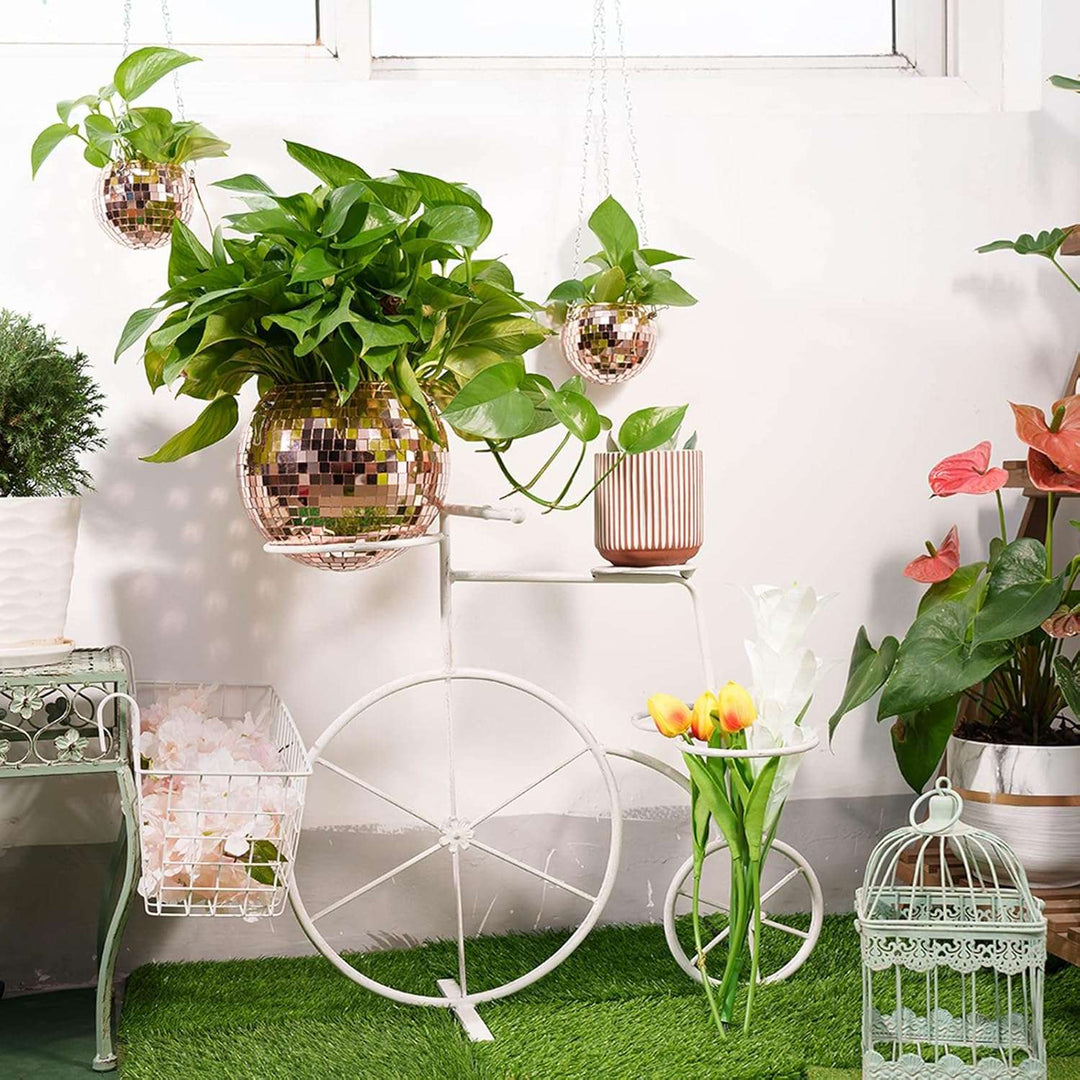 VibeCore Disco Ball Planter in rose pink, available in 3 sizes, displayed in a backyard setting. Featuring a reflective mirror-ball surface, these retro-inspired planters add a playful, vibrant touch to outdoor spaces while showcasing your plants. Perfect for brightening up your backyard decor, with the flexibility to mix and match sizes for a unique display.