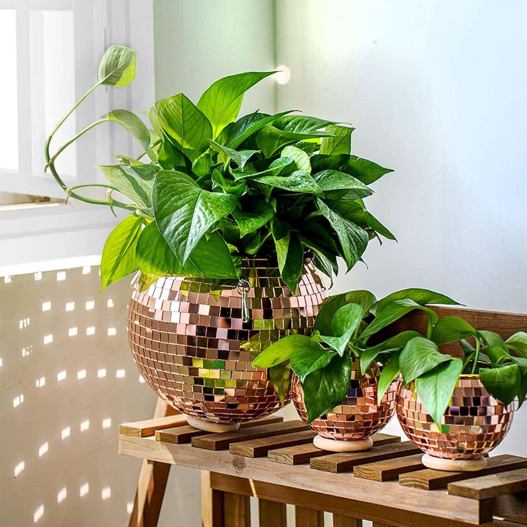 VibeCore Disco Ball Planter in rose pink, available in 3 sizes, featuring a shiny, reflective mirror-ball surface. These retro-inspired planters add a fun, vibrant touch to any space while showcasing your plants. Perfect for enhancing your living room, bedroom, or office decor, with the option to mix and match sizes for a unique display.