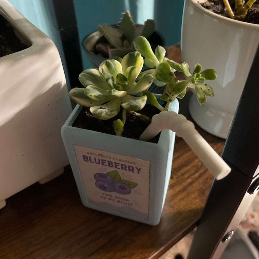 Add a burst of personality to your space with the VibeCore Juice Box Planter in Blueberry! This playful, resin planter, designed to look like a fruity juice box, is the perfect home for your favorite small plants or succulents. The vibrant Blueberry hue pops against the greenery, creating a fun and refreshing vibe. Ideal for desks, windowsills, or shelves, this mini planter brings a touch of eclectic decor and dopamine energy to any room. Whether you're an avid plant lover or just looking to elevate your de