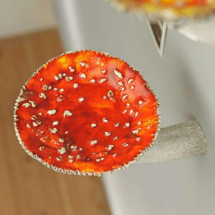VibeCore Mushroom Wall Shelf aerial view showcasing the whimsical mushroom design, perfect for adding a nature-inspired touch to your decor while displaying small items.