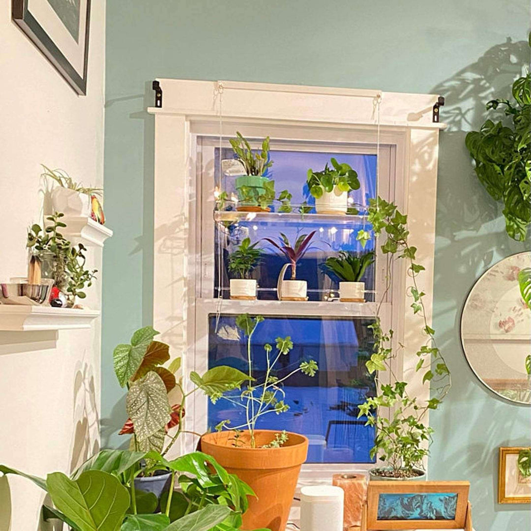 VibeCore Transparent Hanging Plant Shelf with 2 shelves in a home, featuring a modern acrylic design, adjustable cords, and space-saving display for plants and decor.