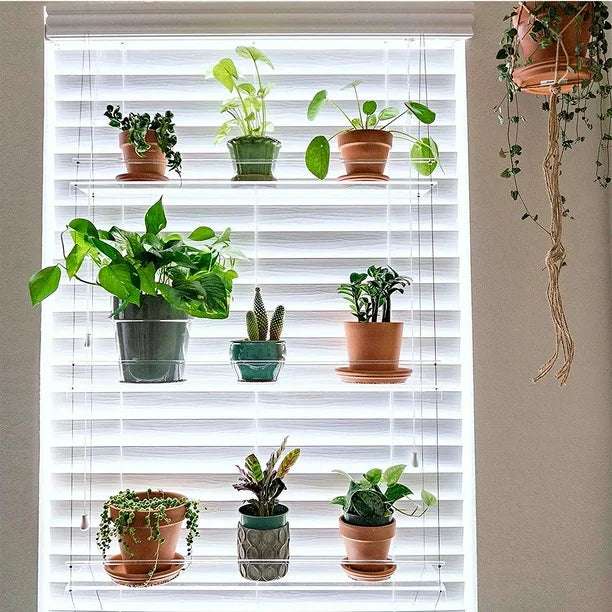 VibeCore Transparent Hanging Plant Shelf with 3 shelves, front view showcasing its sleek acrylic design, adjustable cords, and stylish display of plants on each level.