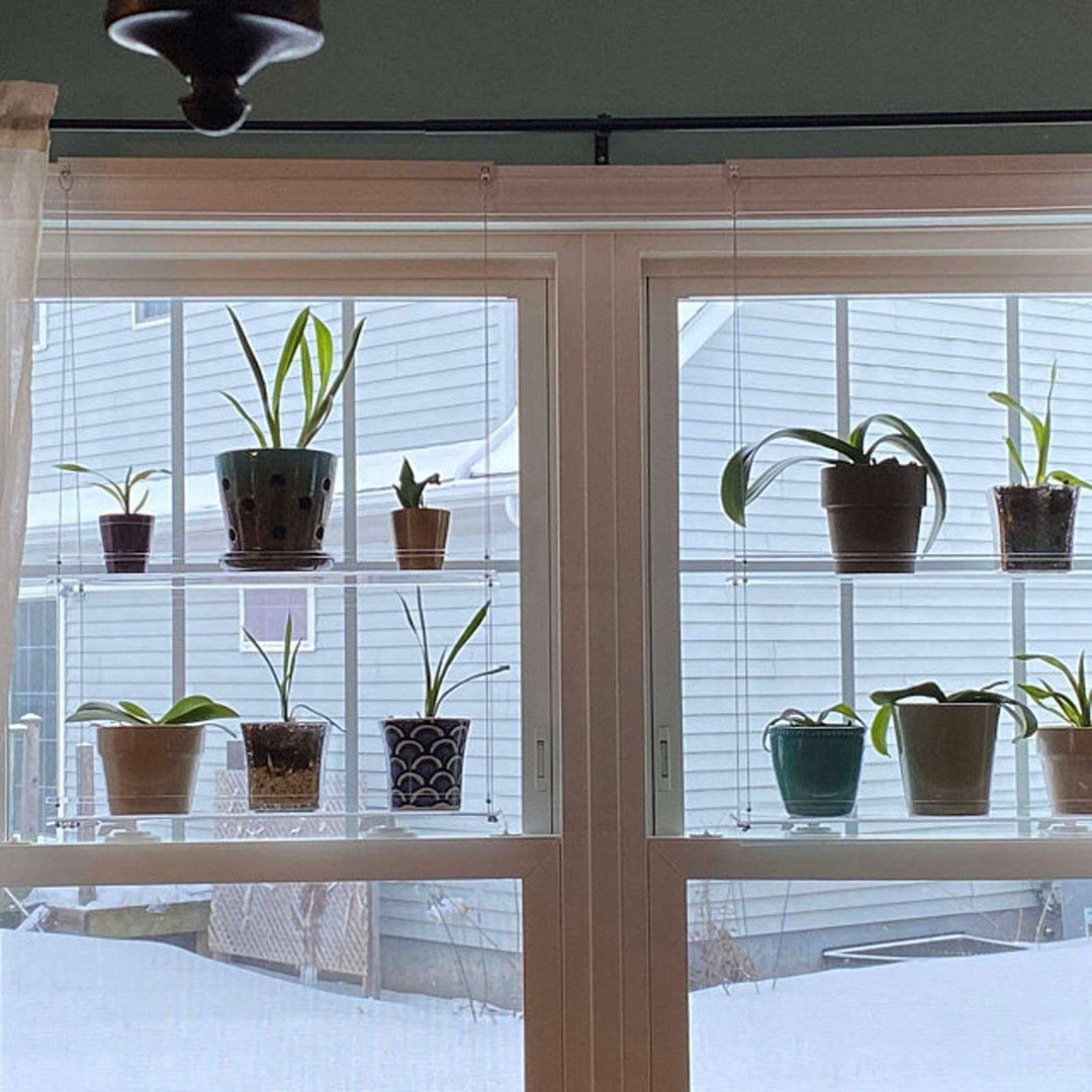 VibeCore Transparent Hanging Plant Shelf with two 2-shelf products hanging by a window, showcasing a modern acrylic design and adjustable cords for plant display.