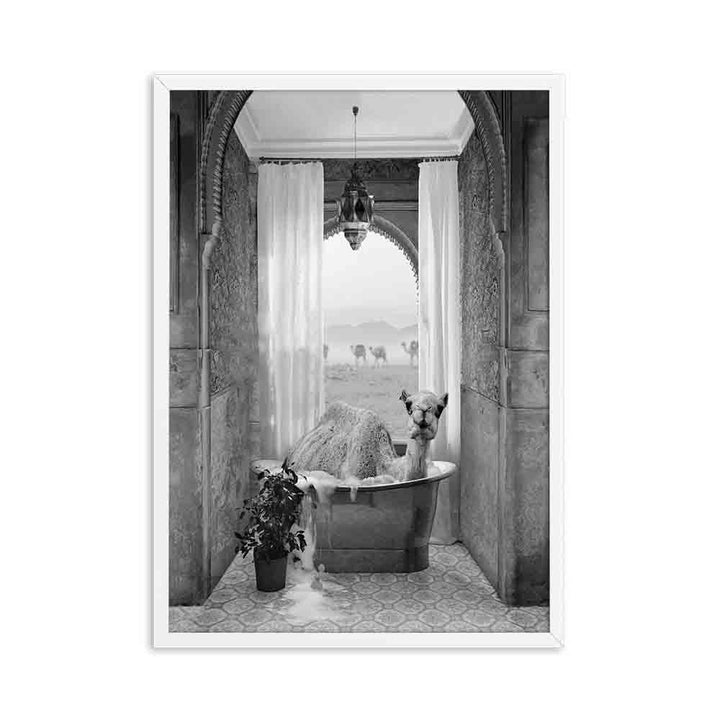 VibeCore Animals In The Tub Canvas Prints Option C: Camel in the tub