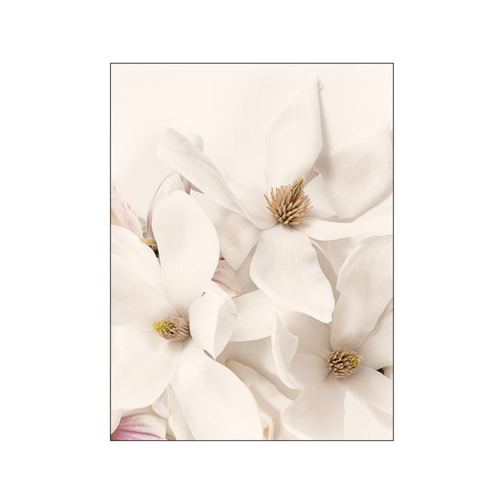 VibeCore Calm Serenity Canvas Prints Option B: White flowers close up