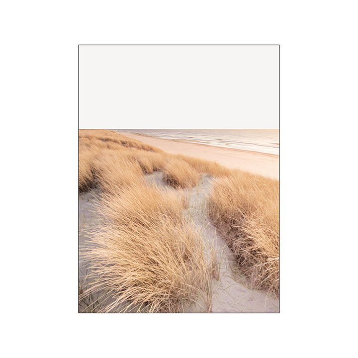 VibeCore Calm Serenity Canvas Prints Option D: Dry grass in sand on beach