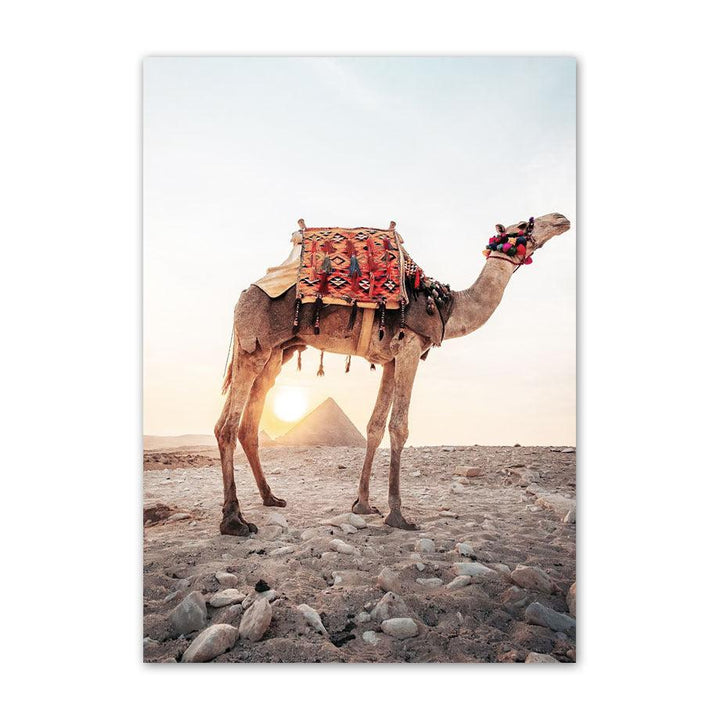 VibeCore Desert Canvas Prints Option A: Camel on rocky sand