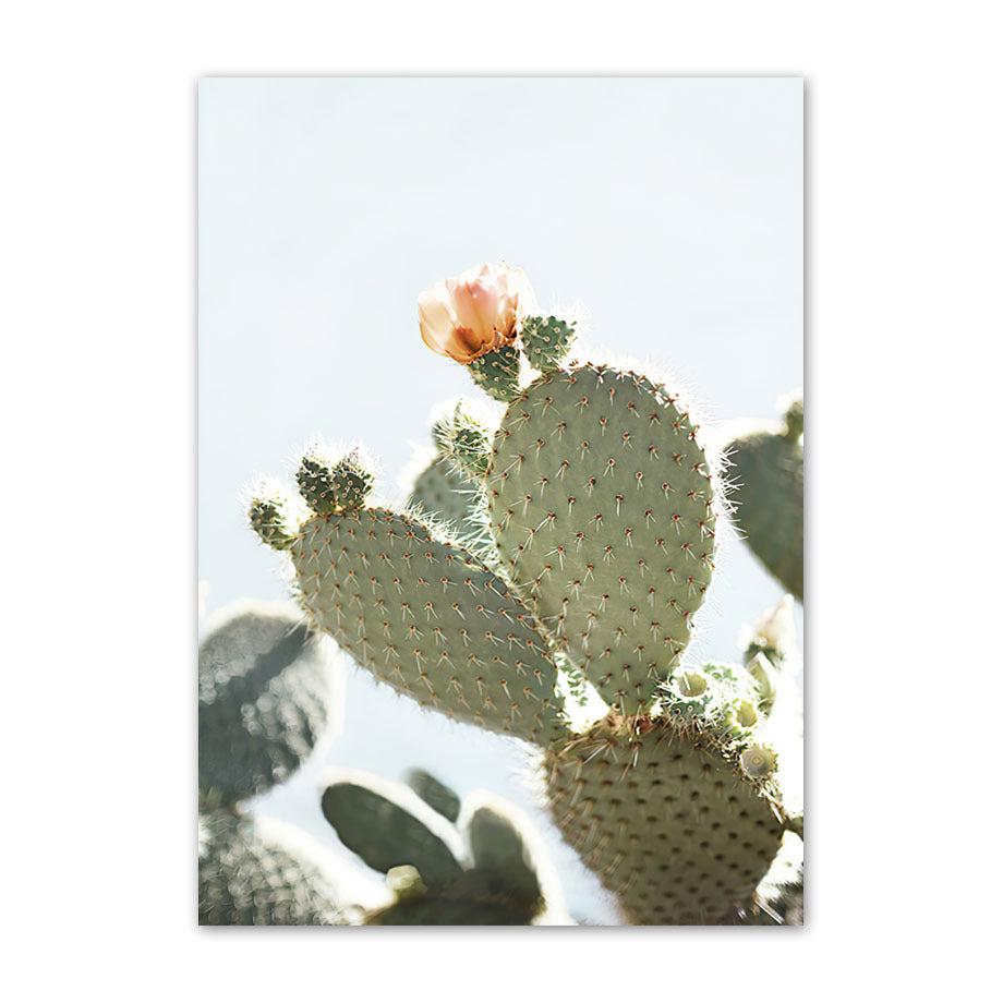 VibeCore Desert Canvas Prints Option I: Close up of cactus