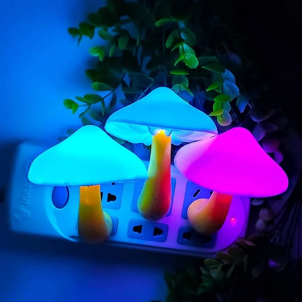 Three lights plugged in, showcasing a colorful array of soft, ambient hues. Perfect for adding a cozy, nature-inspired glow to any room.