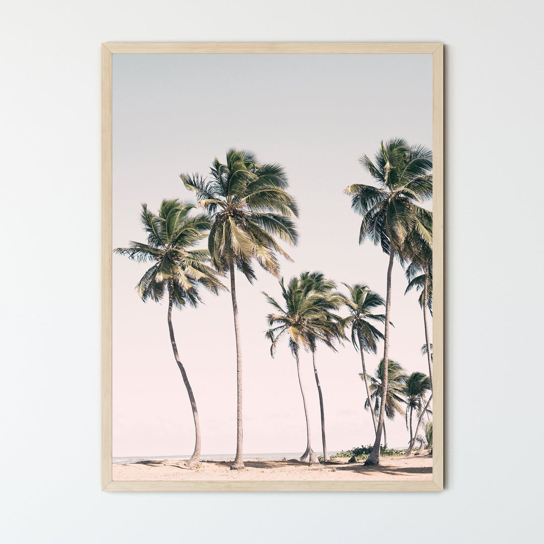 VibeCore Pink Hipster Canvas Prints Option B: palm trees blowing in wind on beach