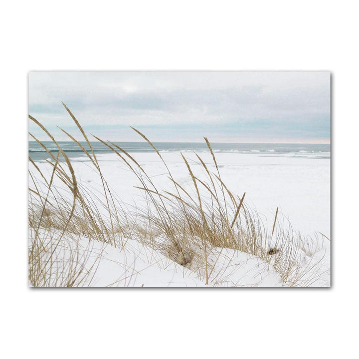 VibeCore Sea Life Canvas Prints Option F: Close up of grass and sand on beach
